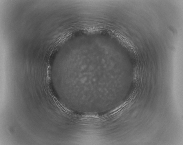 X0000116571346200912101502