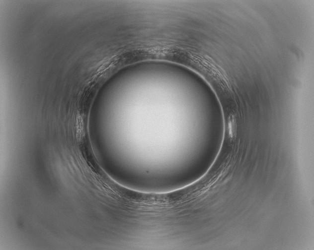 X0000116571347200912101502