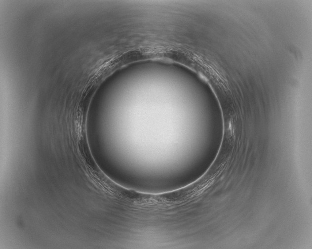 X0000116571348200912101502