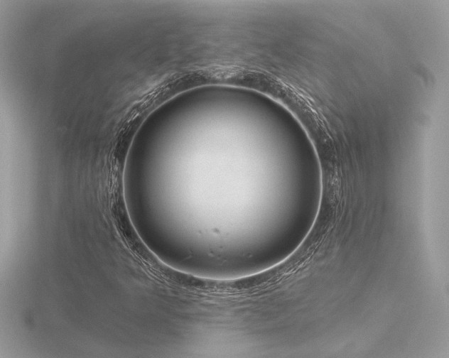 X0000116571349200912101502