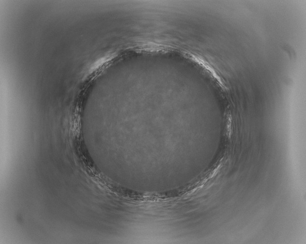 X0000116571350200912101502