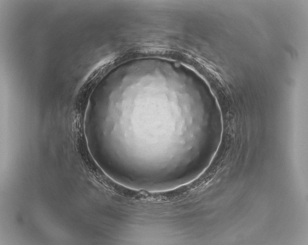 X0000116571351200912101502