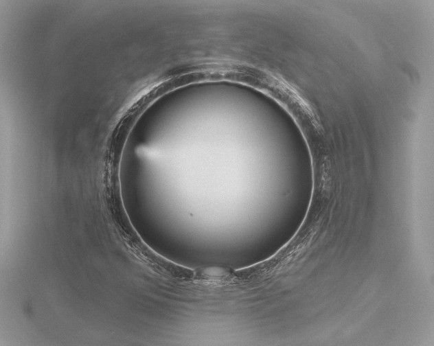 X0000116571352200912101502