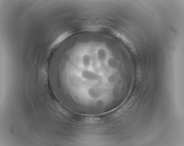 X0000116571354200912101502