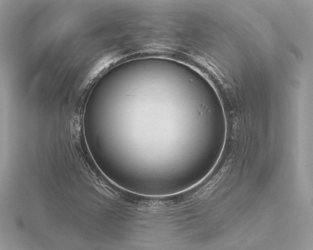 X0000116571355200912101502