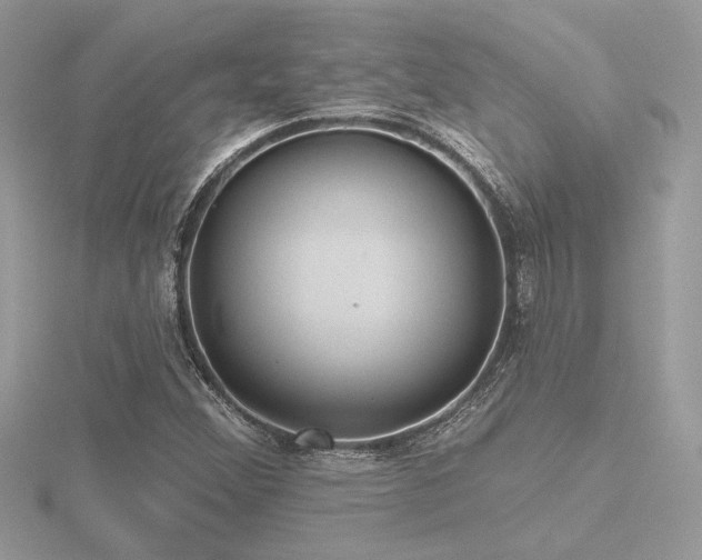 X0000116571356200912101502