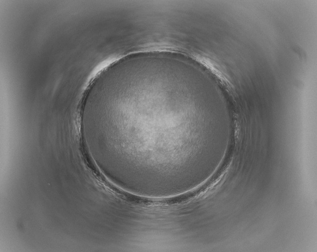 X0000116571358200912101502