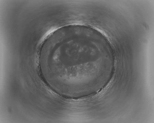 X0000116571359200912101502