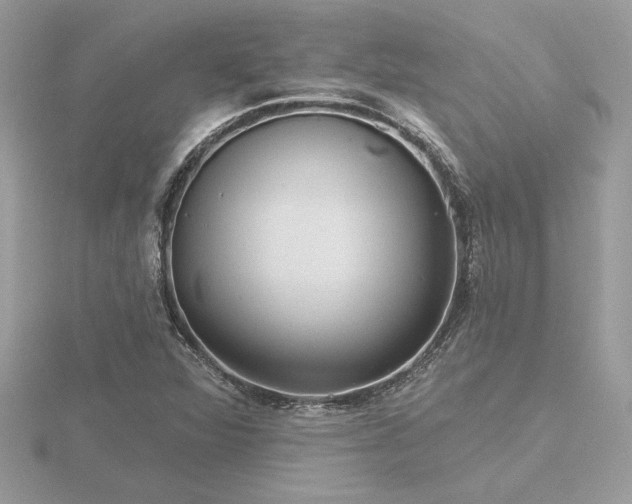 X0000116571360200912101502