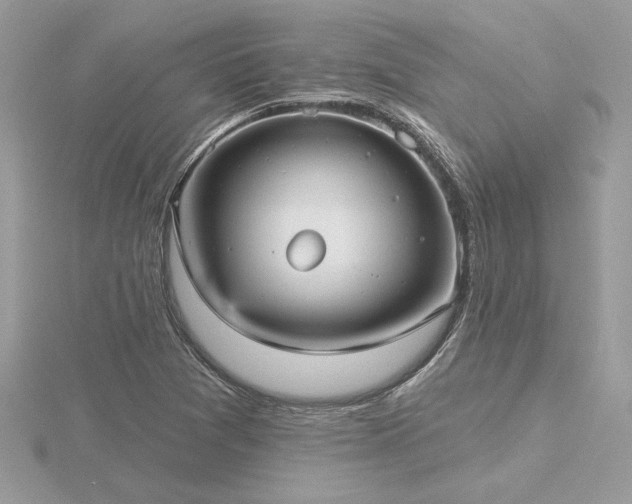 X0000116571361200912101502