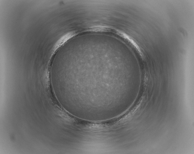 X0000116571362200912101502