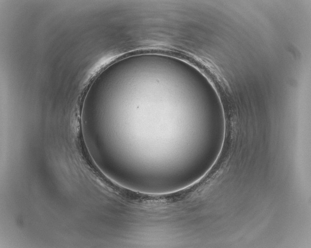 X0000116571363200912101502