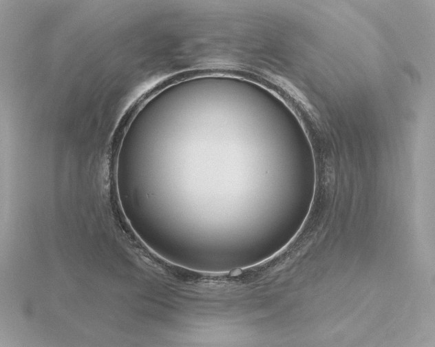 X0000116571364200912101502