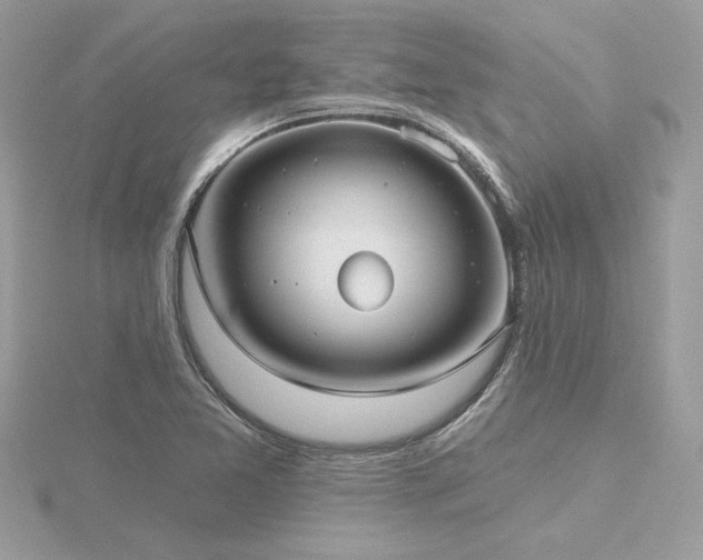 X0000116571365200912101502