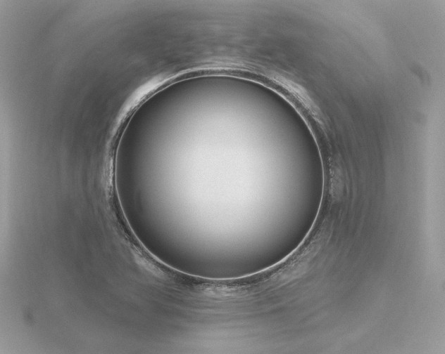 X0000116571366200912101502