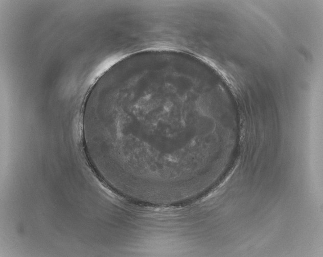 X0000116571367200912101502