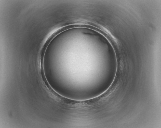 X0000116571368200912101502