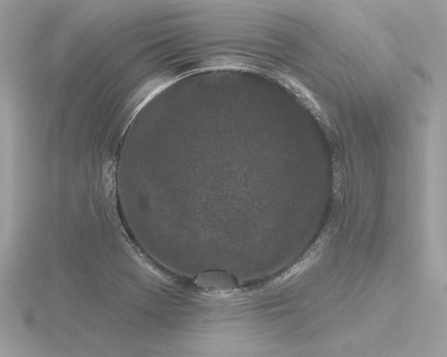 X0000116571369200912101502