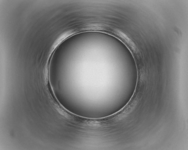 X0000116571370200912101501