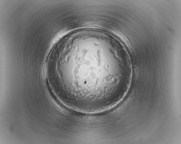 X0000116571371200912101501