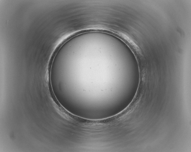 X0000116571372200912101501