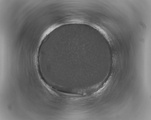 X0000116571373200912101501