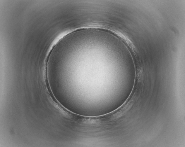 X0000116571374200912101501