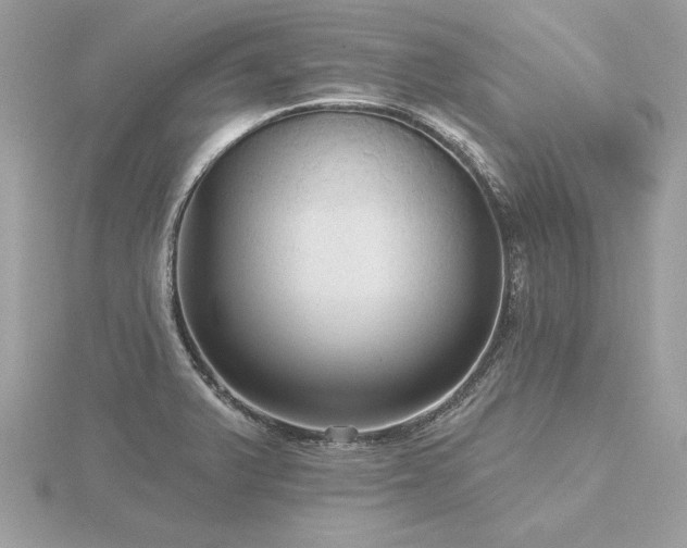 X0000116571375200912101501