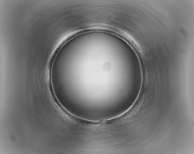 X0000116571376200912101501