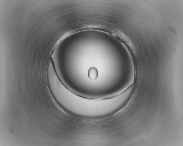 X0000116571377200912101501