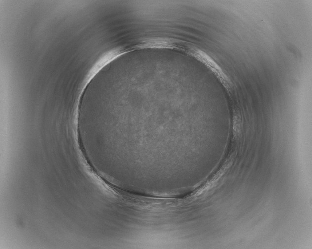 X0000116571378200912101501