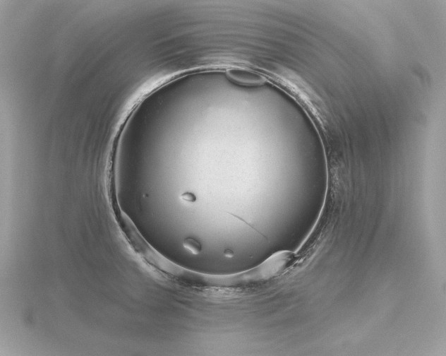 X0000116571379200912101501