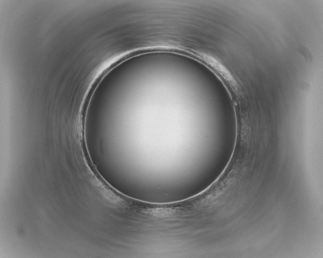 X0000116571380200912101501