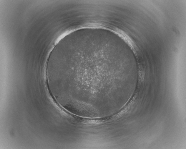 X0000116571382200912101501