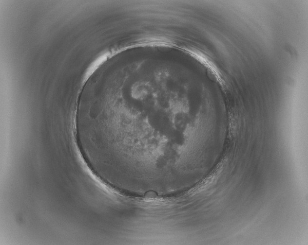 X0000116571383200912101501