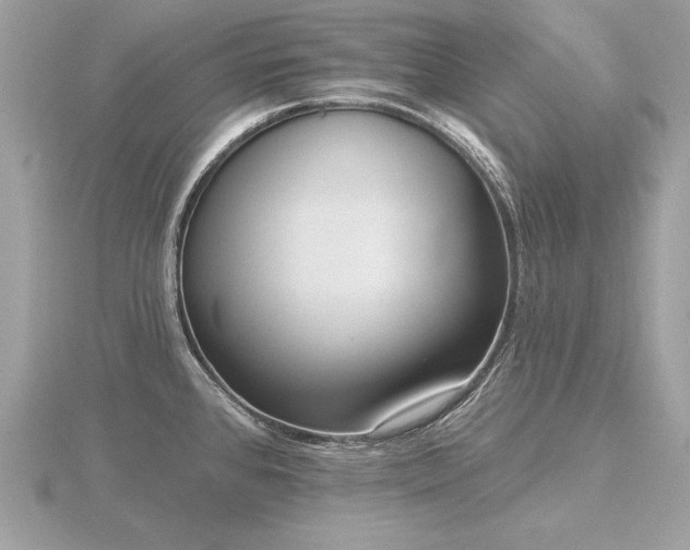 X0000116571384200912101501