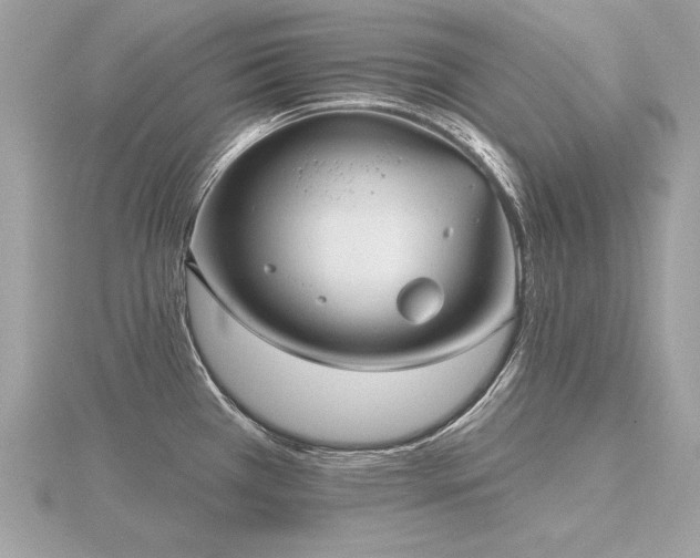 X0000116571385200912101501