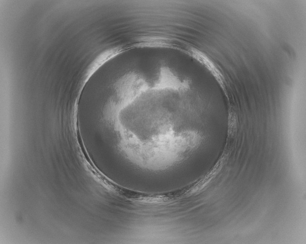 X0000116571386200912101501