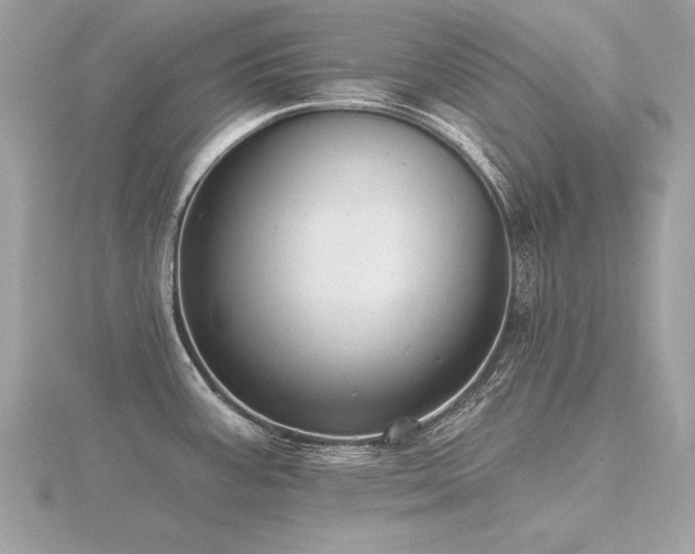 X0000116571387200912101501