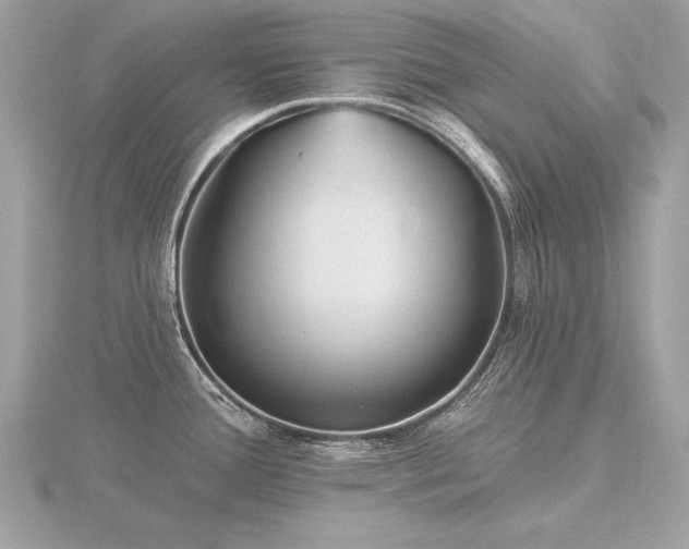 X0000116571388200912101501