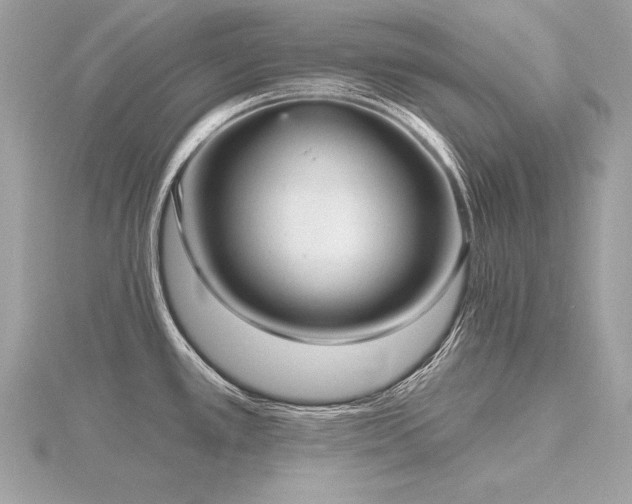 X0000116571389200912101501