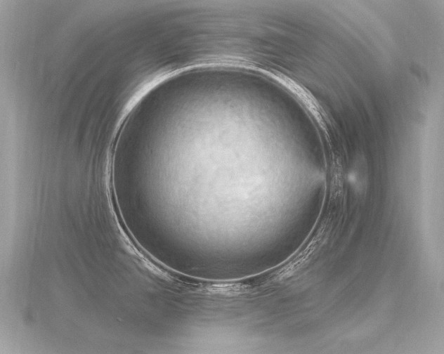 X0000116571390200912101501