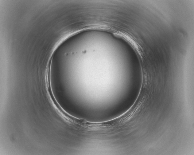 X0000116571391200912101501