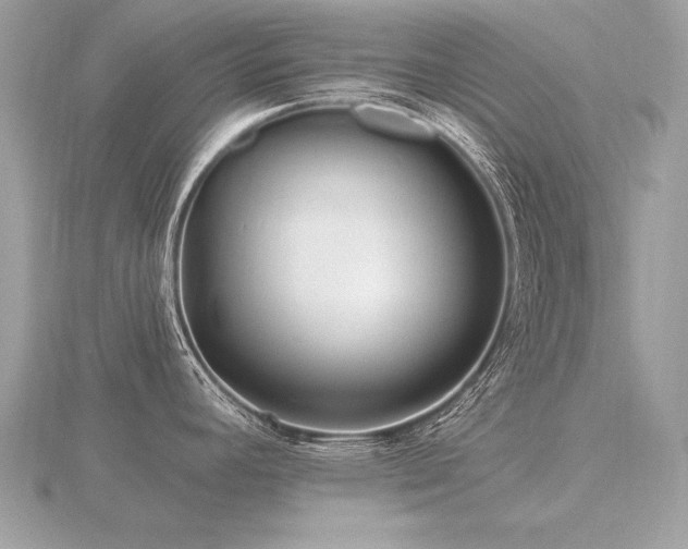 X0000116571392200912101501