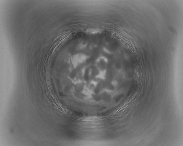 X0000116571393200912101501