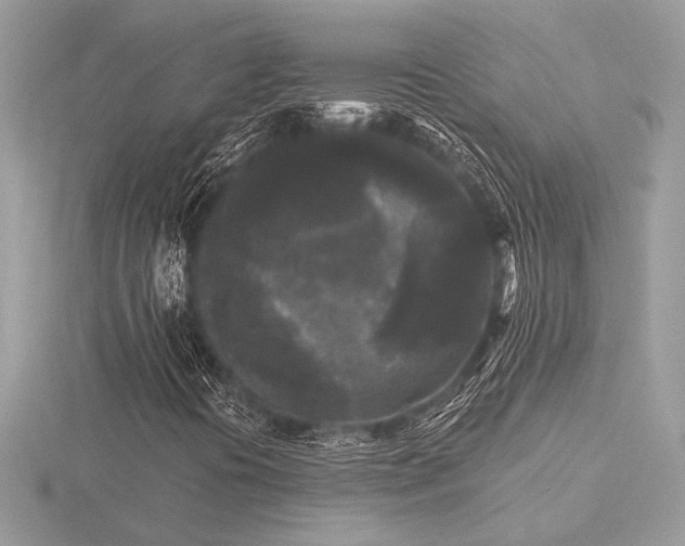 X0000116571394200912101501