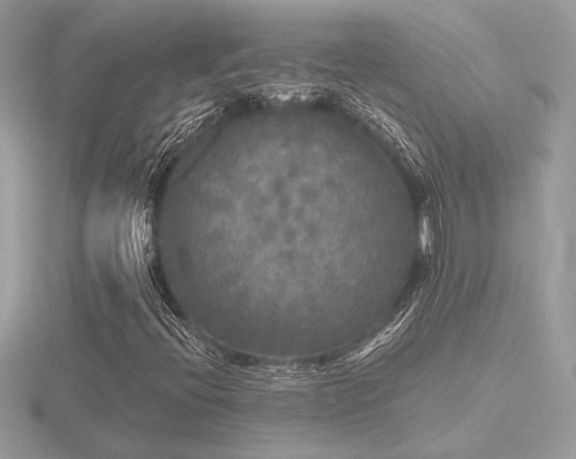 X0000116571396200912101501