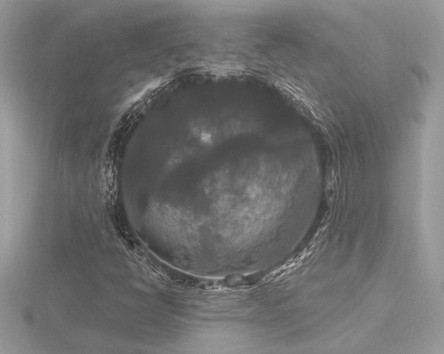 X0000116571398200912101501