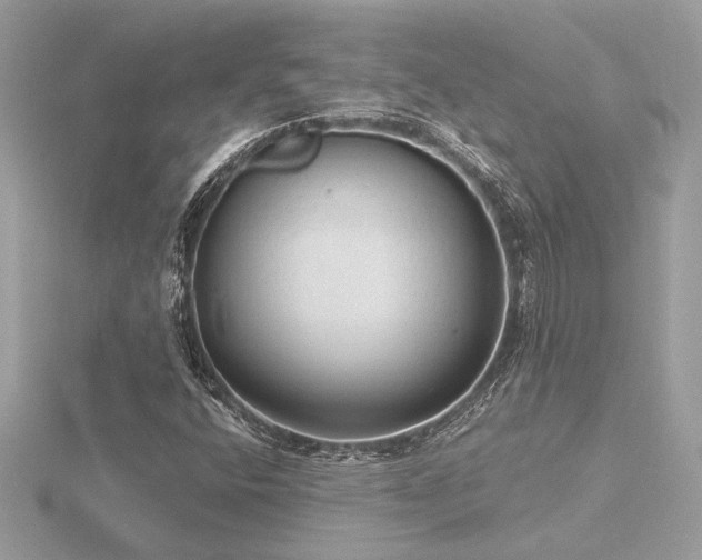 X0000116571400200912101501