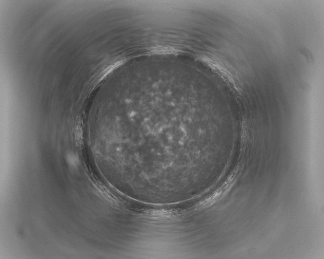 X0000116571401200912101501